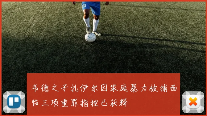 韦德之子扎伊尔因家庭暴力被捕面临三项重罪指控已获释